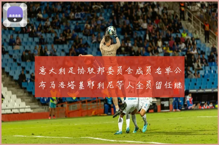 意大利足协联邦委员会成员名单公布马洛塔基耶利尼等人全员留任继续服务