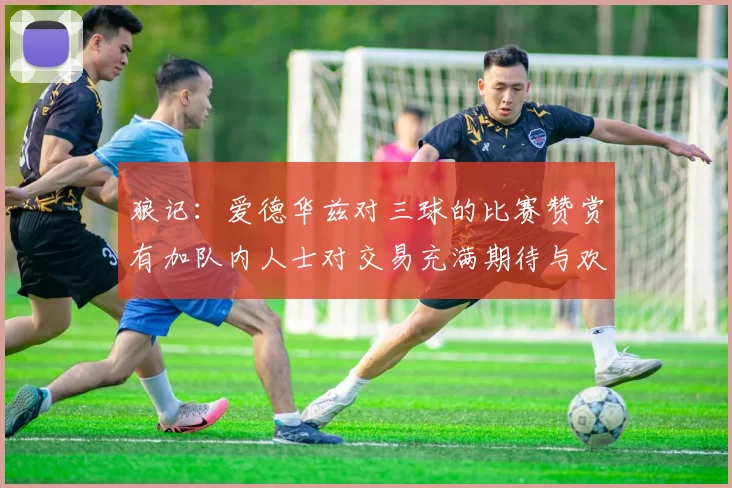 狼记：爱德华兹对三球的比赛赞赏有加队内人士对交易充满期待与欢欣